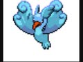 ChaosShadow\ ChaosShadow\