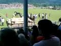 cai de tractiune din bucovina. zilele humorului  xxx  part1