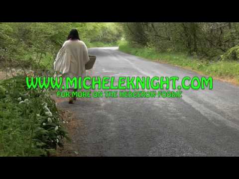 Hedgerow Foodie Part 2: Raw Food: Hedgerow Salad