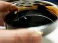 Fun with Ferrofluid