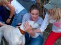17 Galgos Rescue in ITALY for GACI-October 11, 2008 17 Galgos Rescue in ITALY for GACI-October 11, 2008