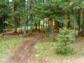 Mercer Wisconsin Compound 3
