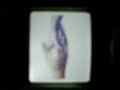 NOKIA 1112 UNLOCK 6.46