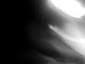 prise 069 .
les peluches coquine .
soir�e m�morable avec alice .
souvenirs , souvenirs (8)