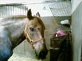 My first Video Of Sunny =P