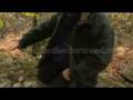 Bloodline - Thom Quarry