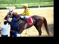 Applause-for-Curlin-