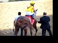 Applause for Curlin after Stephen Foster Applause for Curlin after Stephen Foster