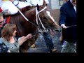 Applause-for-Curlin-