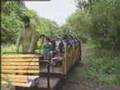 A kemencei kisvasút