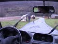 Riada en Terra Ch� ano 2000