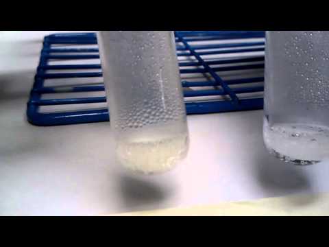 how to react zinc and hydrochloric acid