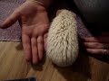 [Video]