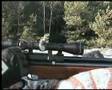 AIRGUN SHOOTING ON DISTANCE 200 METERS (218 yards)!
