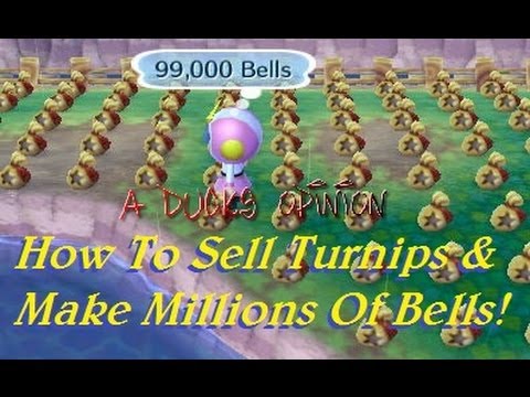 how to grow a turnip in animal crossing ds