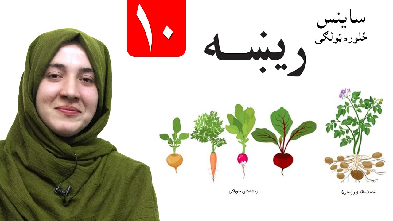 LESSON 10 _ Grade 4 SCIENCE / لسم لوست ـ د ساینس مضمون ـ څلورم ټولګی