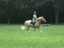 Mo in pasture