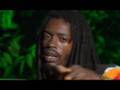 I Wayne - Life Seeds