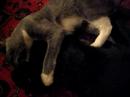 Maximilian and Angelina, brother and sister