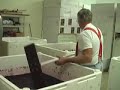 A Kinkead Ridge Winery 2007 Mini-Movie-Punchdown