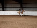 darby 2nd video