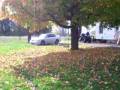 Photo 262.MOV
