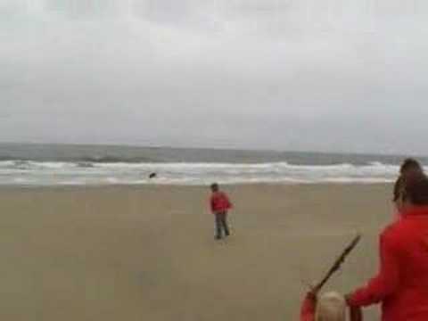 Verblijf op Walcheren