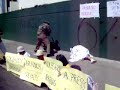 irak protestas