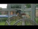 Billy Sharrock (nee Nevitte) The Talking Parrot