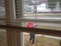 Throwing kids out  windows! (3/21/09-17)