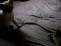 Maybel Sonny PLaying 2