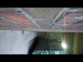 amber leigh zaucha nate Lawrence Christiansin kenny knox senor fresco david evan berry edwin lexi lush john alberto ruffolo tracks bowling basketball brunswick zone driving spring time smell tea bag starbucks walmart subway peter benard dornowski jordan andre stratford square mall hacky sack skate boarding why why? darla