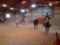 videos de now sahara new