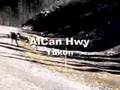 ALASKA-CANADA Hwy Bear Moose Caribou Sheep Lk Kluane Llaird