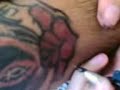 pintados pintados