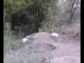 3 Ballers jumping at pioneer 2