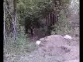 3 Ballers jumping at pioneer 2
