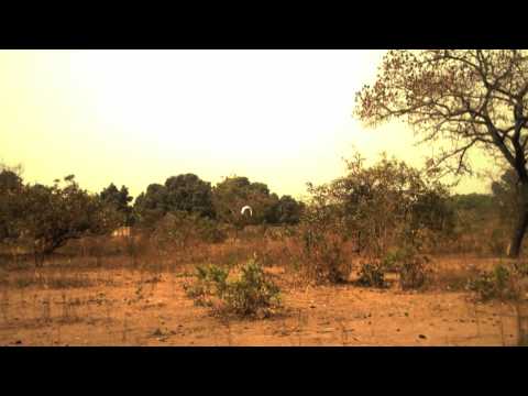 Guinea Bissau -- Unreached People Groups