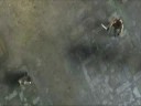 Resident Evil 4 Tribute Video Resident Evil 4 Tribute Video