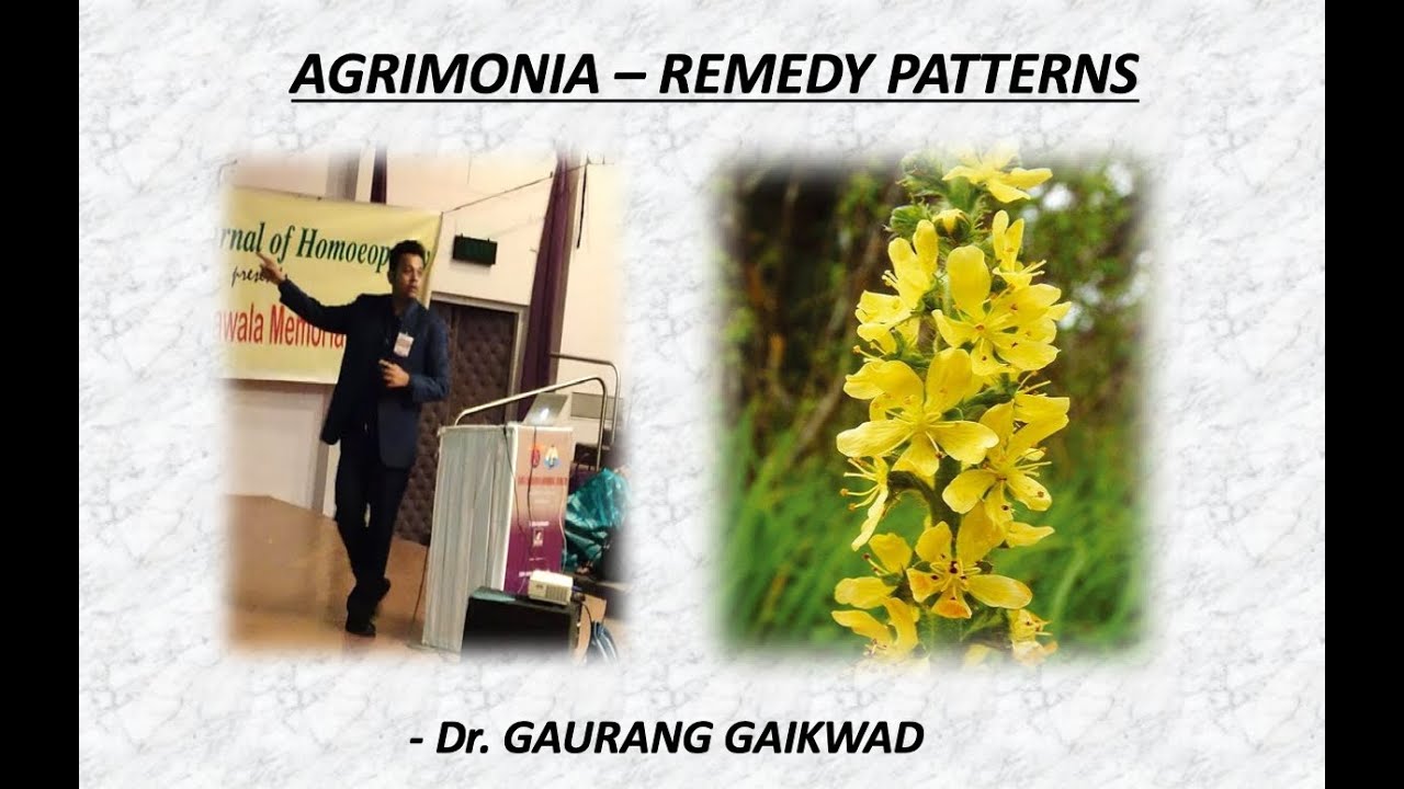 Agrimonia - Remedy Patterns - Dr. Gaurang Gaikwad
