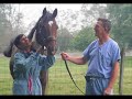 Barbaro-We will never Forget Barbaro-We will never Forget