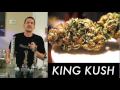 700 GRAMS OF HASH !!! The WEED Report : Episode #22 Re-Edit