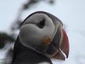 Newfoundland Adventure - a week of eastern Newfoundland touring