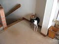 un peque�o accidente casero!