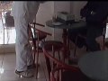 anti-hygiene-lol-ascmd.html