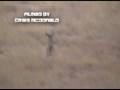 Dead Deer Running!