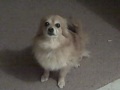 Jul 30 2009 - VID00028.AVI
