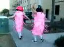 E.Coli jog
