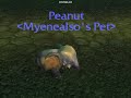 Peanut the Baby Elekk