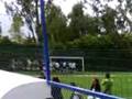 icel izcalli campeon